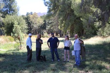 Enlarge photo 12