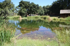 Enlarge photo 15