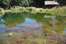 Enlarge photo 16