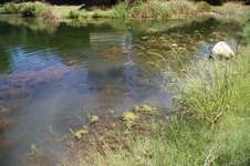 Enlarge photo 24