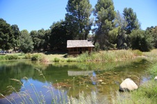 Enlarge photo 25