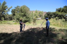 Enlarge photo 28