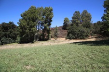 Enlarge photo 35