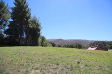 Enlarge photo 37