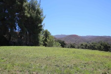 Enlarge photo 38