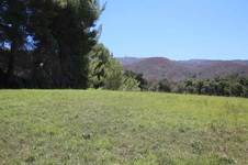 Enlarge photo 39