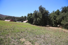 Enlarge photo 40
