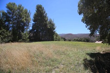 Enlarge photo 41