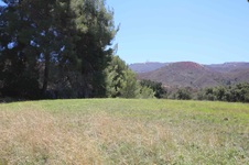 Enlarge photo 42