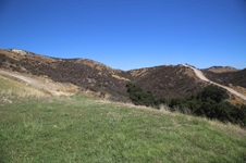 Enlarge photo 46