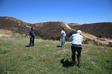 Enlarge photo 50