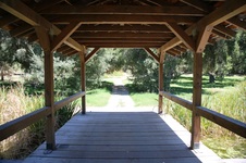 Enlarge photo 54
