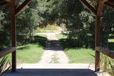 Enlarge photo 55