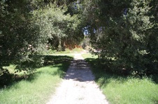 Enlarge photo 56