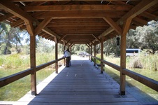Enlarge photo 57
