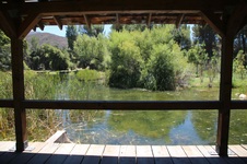 Enlarge photo 58
