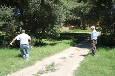 Enlarge photo 59