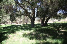 Enlarge photo 61