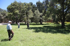 Enlarge photo 64