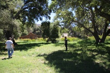 Enlarge photo 66