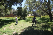 Enlarge photo 67