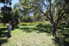 Enlarge photo 68