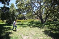 Enlarge photo 69