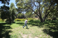 Enlarge photo 70
