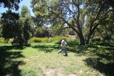 Enlarge photo 71