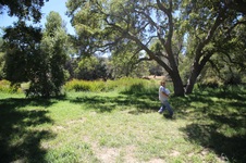 Enlarge photo 72