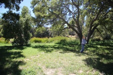 Enlarge photo 73