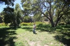 Enlarge photo 74