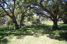 Enlarge photo 75