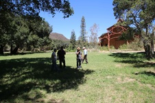 Enlarge photo 76