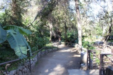 Enlarge photo 65