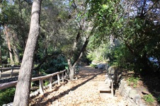 Enlarge photo 66