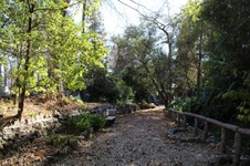 Enlarge photo 67