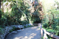 Enlarge photo 71