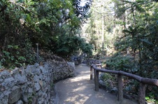 Enlarge photo 72
