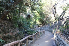 Enlarge photo 73
