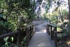 Enlarge photo 74