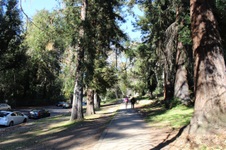 Enlarge photo 77