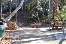 Enlarge photo 83