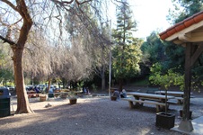 Enlarge photo 85