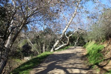 Enlarge photo 89