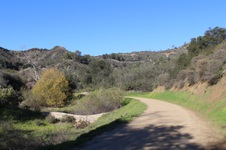 Enlarge photo 90