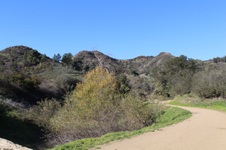 Enlarge photo 91