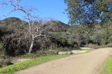 Enlarge photo 92