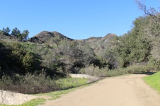 Enlarge photo 93