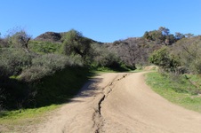 Enlarge photo 94